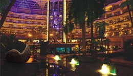 Sahara Star