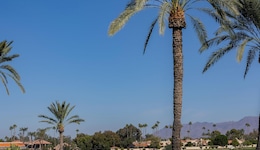 The McCormick Scottsdale