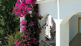 Apollon Hotel Apartments