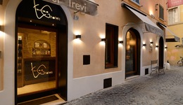 Hotel Trevi