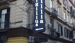 Hotel Vergilius Billia