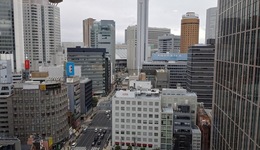 Hotel Elsereine Osaka