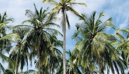 Hotel Be La Sierra