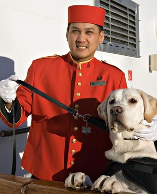 QM Steward
