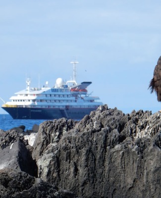 Image Silver Galápagos 1