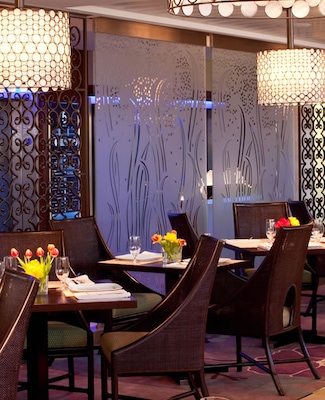 Image Celebrity Eclipse 2