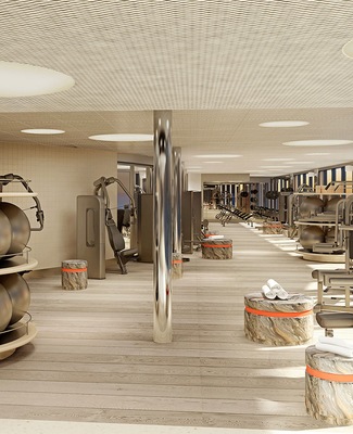 Image Valiant Lady 22
