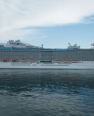 Image Regal Princess 10