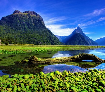 New Zealand