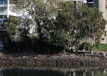 Maroochydore
