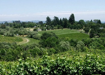 Sonoma - Ca