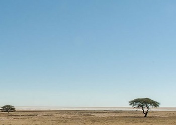 Etosha