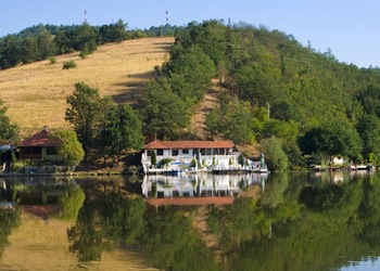 Ovčar