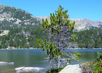 Lles de Cerdanya