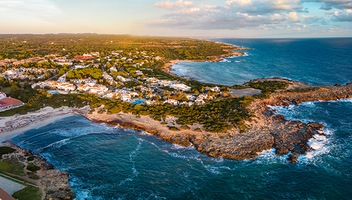 Cala en Bosch