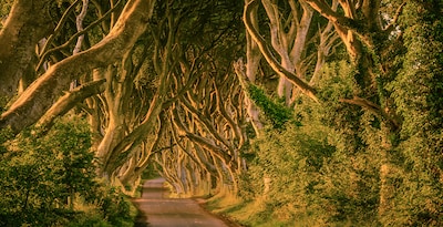 Emerald Isle Game of Thrones Route