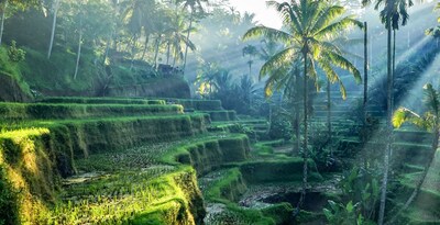 Hong Kong, Ubud with Beaches in the South of Bali and Singapore
