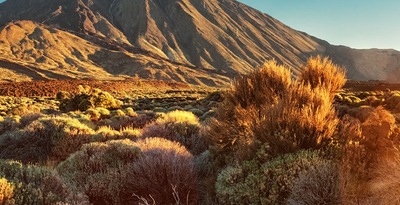 Gran Canaria, Tenerife and Lanzarote