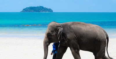 Bangkok, Chiang Mai and Koh Chang