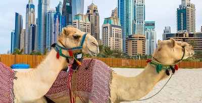 Four United Arab Emirates Route