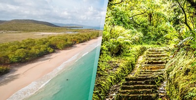 Dominica and Martinique