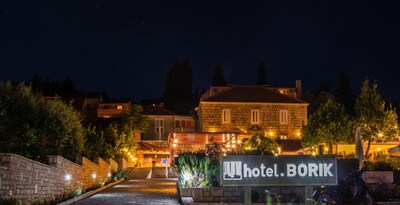 Hotel Borik