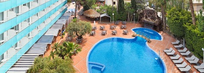 H10 Delfin (Only Adults)