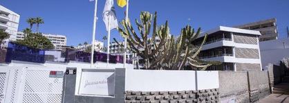 Jacarandas Beach