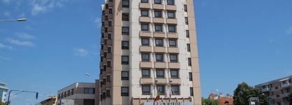 Egreta