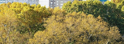 JW Marriott Essex House New York