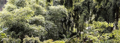 Sensei Lanai, A Four Seasons Resort