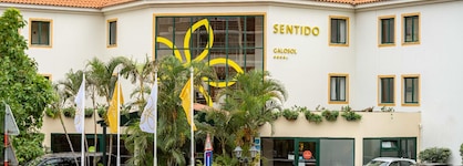 Sentido Galosol
