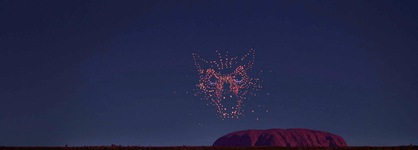 The Lost Camel