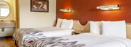Red Roof Inn Dallas - Dfw Airport North
