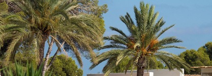 Hotel Montepiedra