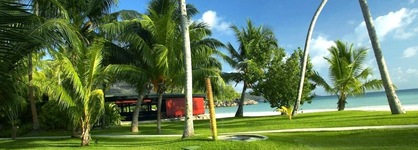 Paradise Sun