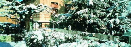 Le Studio - Le Grand Chalet