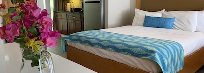 Divi Flamingo Beach Resort & Casino