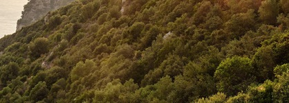 Atlantica Grand Mediterraneo Resort - Adults Only