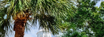 Planters Inn