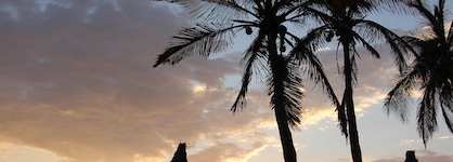 Luna Palace Hotel And Suites