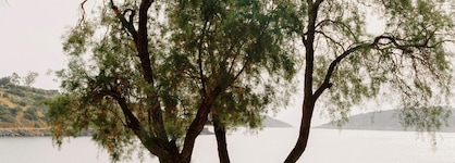 Minos Beach Art Hotel