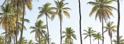 Grand Palladium Imbassai Resort & Spa All Inclusive