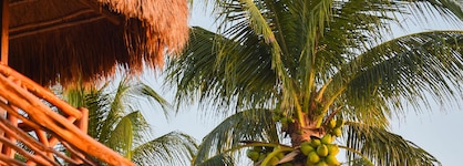 Viceroy Riviera Maya