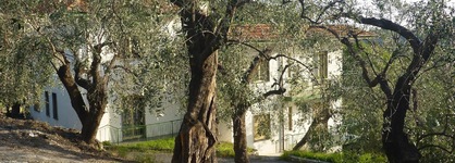 Borgo Verde-Uliveto