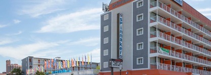 The Spinnaker