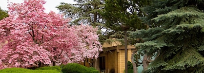 Mirabeau Park Hotel & Convention Center