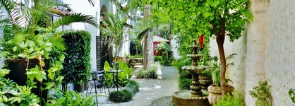 Hotel Rosa Morada