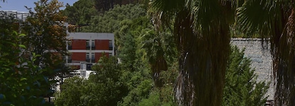 Hotel Termal