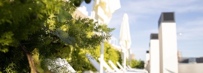Nqn Aparts & Suites Sevilla